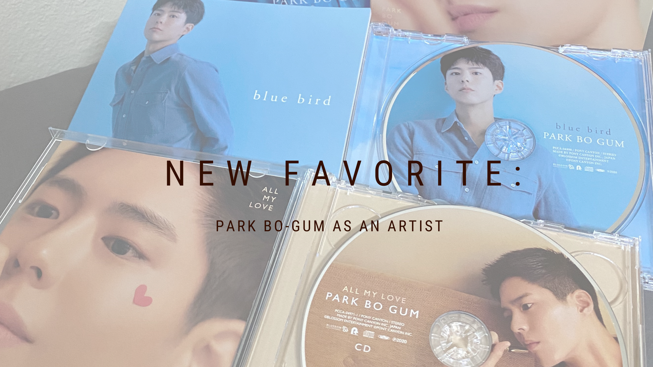 New Favorite: Park Bo-gum as an Artist