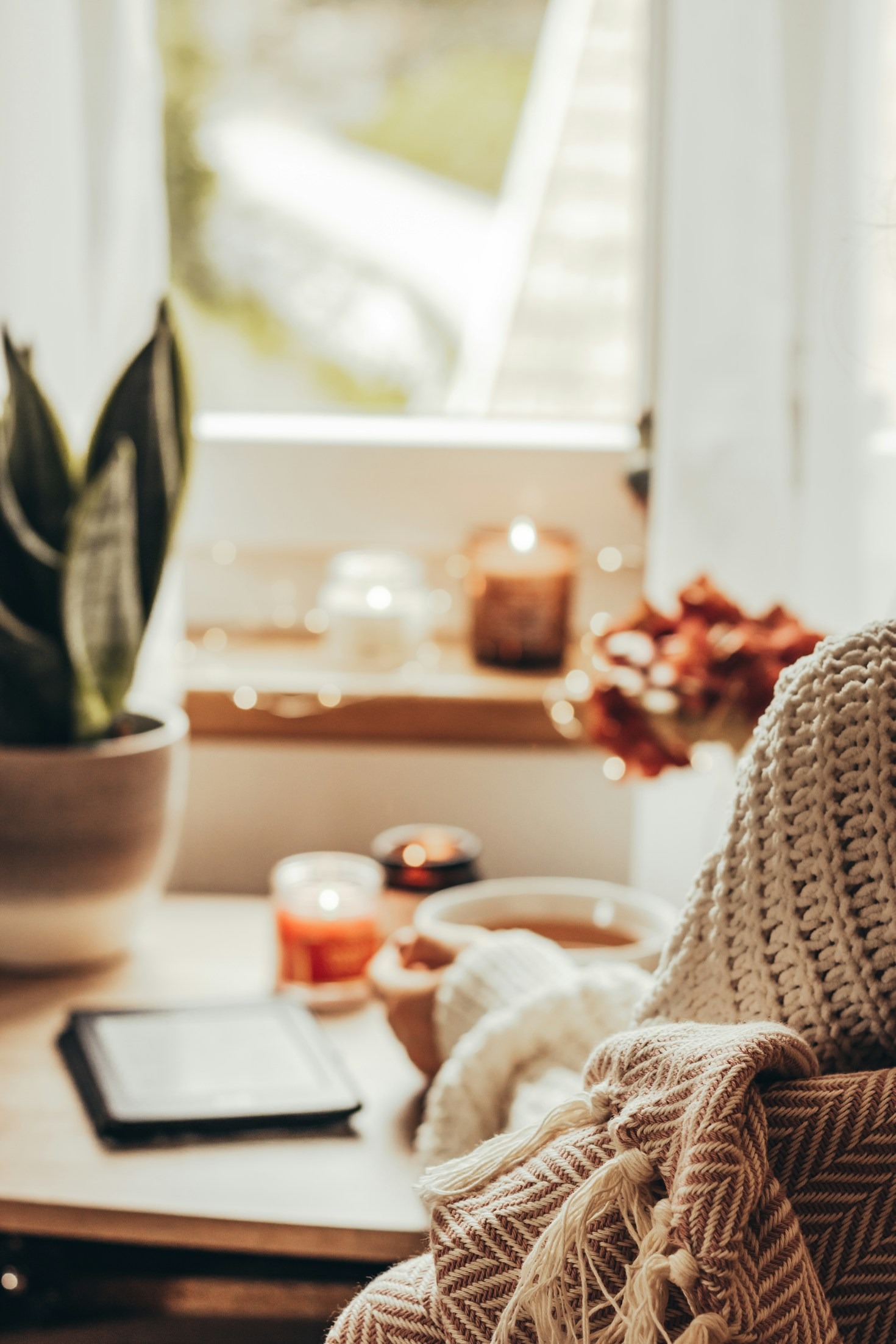 A Day in the Life: Finding Warmth Everywhere